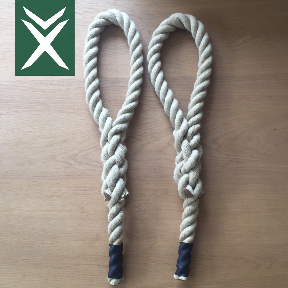 Pair of Pull Up Ropes